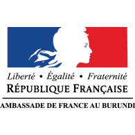 logo ambassade de france 2